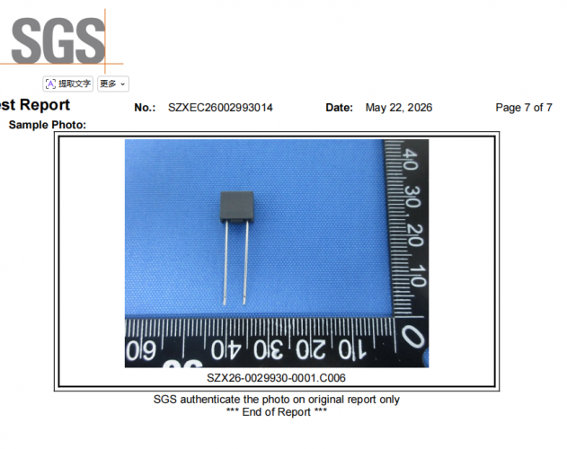 集电通微型保险丝方形系列SGS报告：RoHS